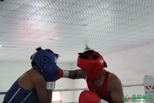 力量之搏 洛陽第十二屆運(yùn)動(dòng)會(huì)拳擊比賽圓滿落幕